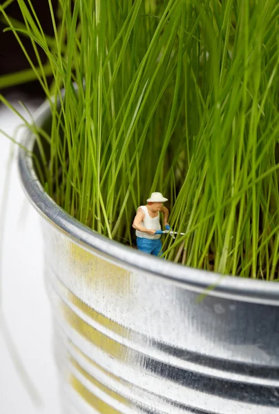 Miniaturowe ogrodnik pracy — Zdjęcie stockowe