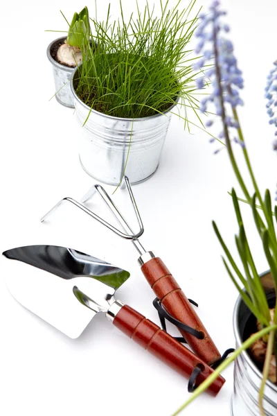 stock image Gardening tools