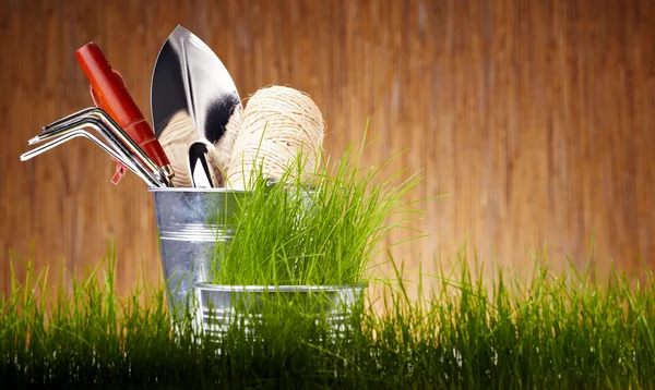 Trädgårdsredskap och krukväxter — Stockfoto