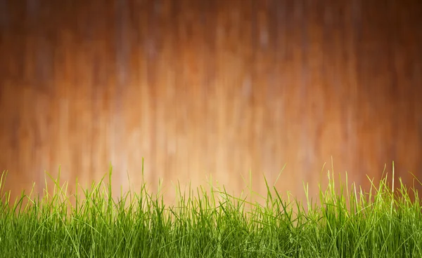 Parede de madeira e grama verde fundo — Fotografia de Stock