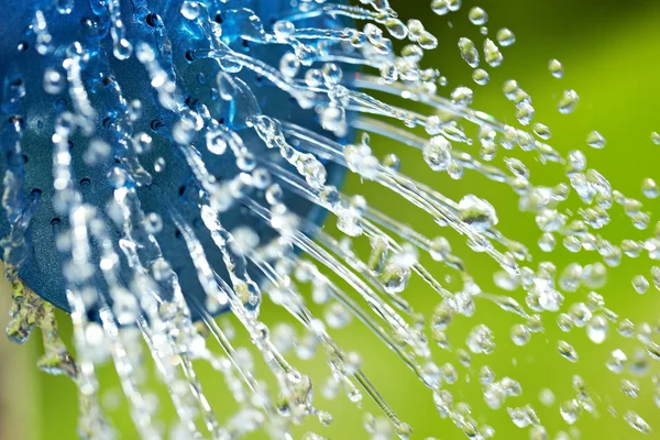 Blauwe gieter gebruikt om water het groene gras — Stockfoto