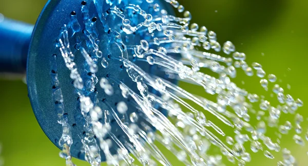 蓝色喷壶用于水绿色的草地 — 图库照片