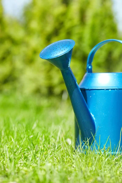 Blauwe gieter in tuin — Stockfoto