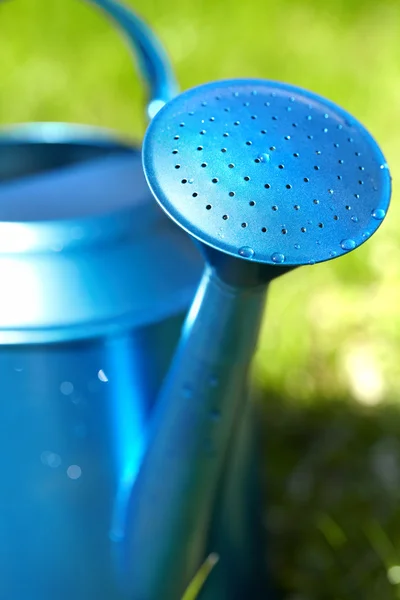 Голубая банка для полива в саду — стоковое фото