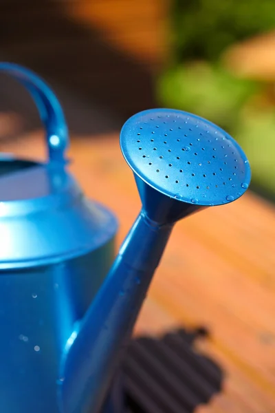Blaue Gießkanne im Garten — Stockfoto