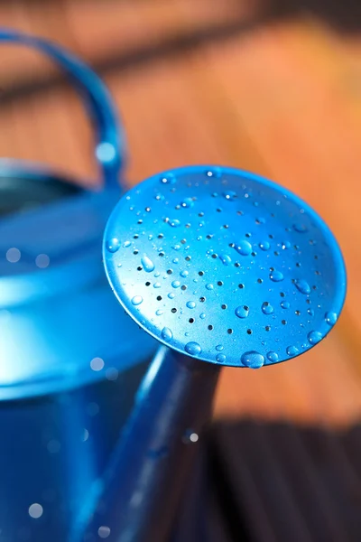 庭でブルーの水まき缶 — ストック写真