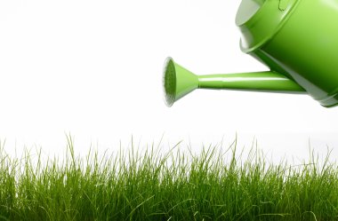 Watering can and grass clipart