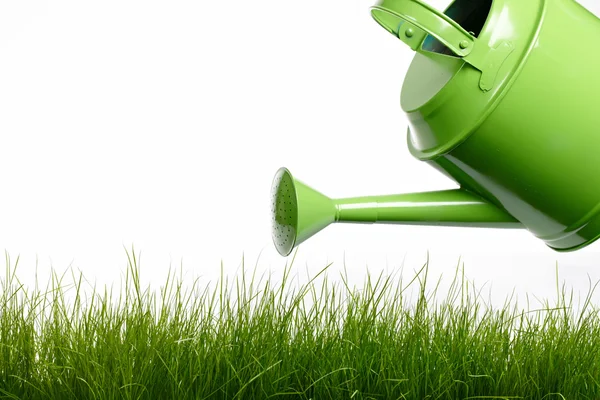 Watering can and grass — Stock Photo, Image