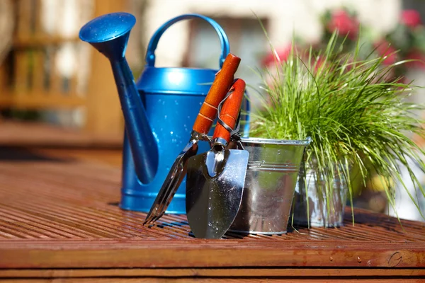 Outils de jardinage en fond de jardin — Photo