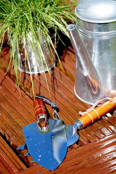 Trädgårdsskötsel verktyg i trädgården bakgrund — Stockfoto