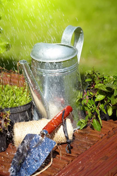 Trädgårdsredskap och hosta anläggningen isolerad på trägolv — Stockfoto