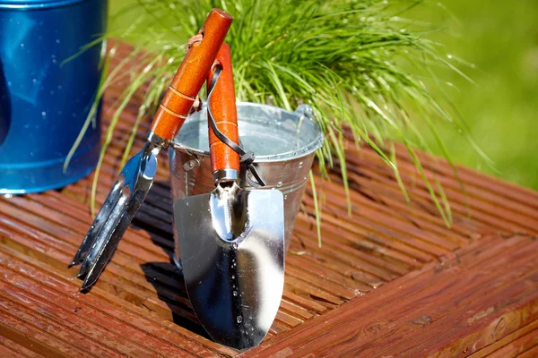 Gardening tools in garden background — Stock Photo, Image