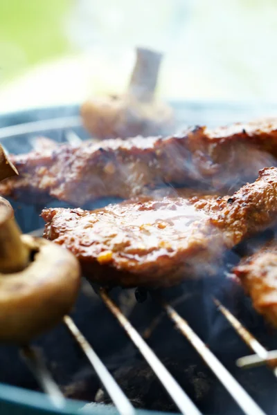 Friptură și alte carne pe BBQ — Fotografie, imagine de stoc