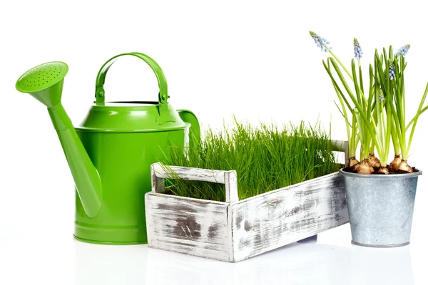 Zahradní nářadí a konev s trávou na bílém pozadí — Stock fotografie
