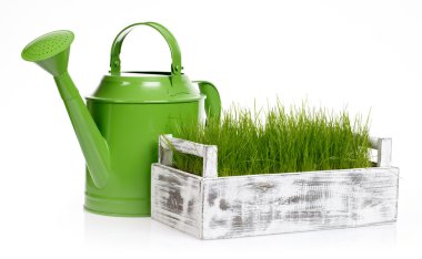 Spring gardening - Watering can, grass and garden tools on white clipart