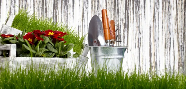 Garden tools background — Stock Photo, Image