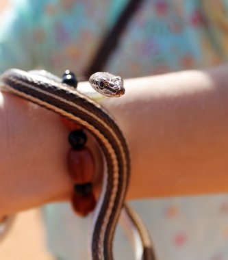 bir kızın elinde yılan