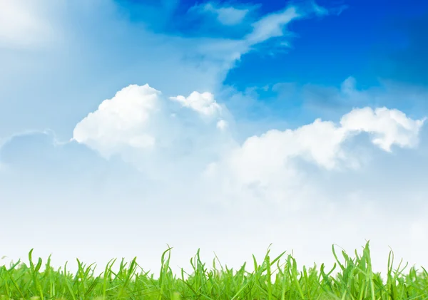 Groen veld en hemelsblauw — Stockfoto