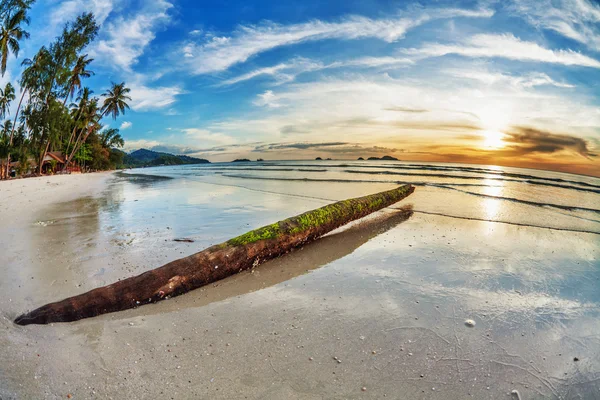 Tropická pláž při západu slunce. — Stock fotografie