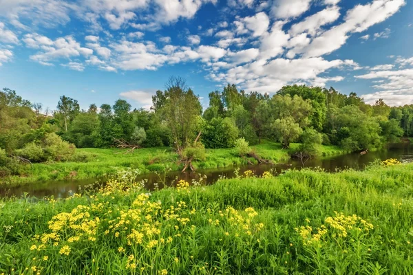 Groen veld met rivier — Stockfoto