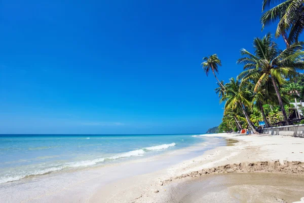 エキゾチックな熱帯のビーチ. — ストック写真