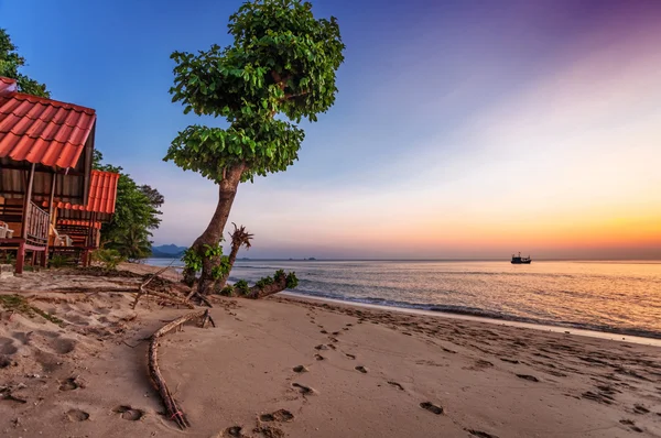 stock image Tropical beach at sunset.