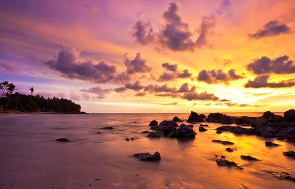 Trópusi színes naplemente. — Stock Fotó