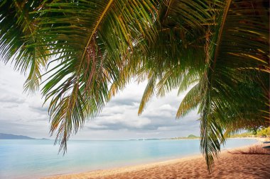 karanlık gökyüzü altında tropik sahil