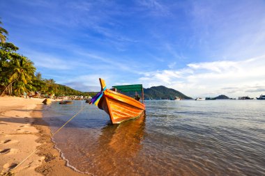 tekne tropikal deniz. Tayland