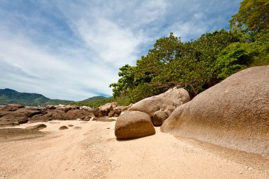 Egzotik tropikal plaj.