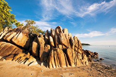 Egzotik tropikal plaj.