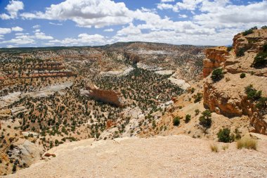 utah state manzarası. ABD