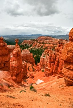 bryce canyon bakış açısından görüntüleme. Utah. ABD