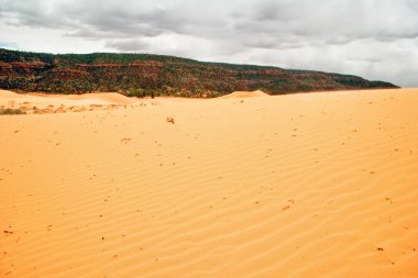 utah state manzarası. ABD