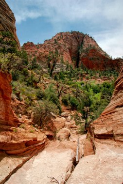 zion canyon yamaçları. Utah. ABD.