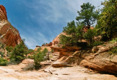 zion canyon yamaçları. Utah. ABD.