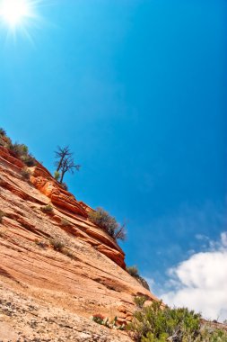 zion canyon yamaçları. Utah. ABD.