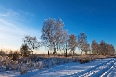 Winter landscape clipart