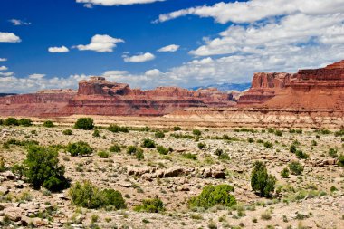 utah state manzarası. ABD