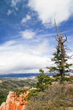 Bryce canyon