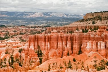 Bryce canyon