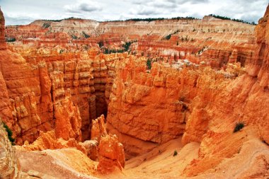 Bryce canyon