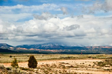 utah state manzarası. ABD