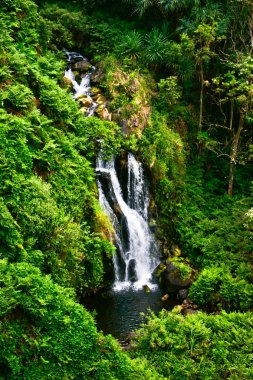 küçük şelale orman büyük Adası. Hawaii.