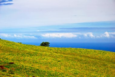 okyanus büyük adada görüntüleyin. Hawaii