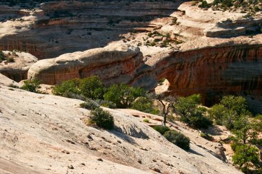 utah state manzarası. ABD