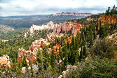 Bryce canyon