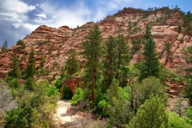 zion canyon yamaçları. Utah. ABD.