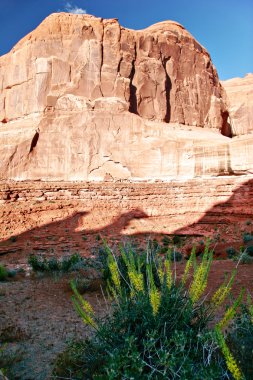 utah state manzarası. ABD