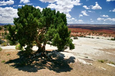 utah state manzarası. ABD